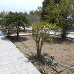Nikoletta
